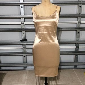 Champagne Colored Dress New with tags